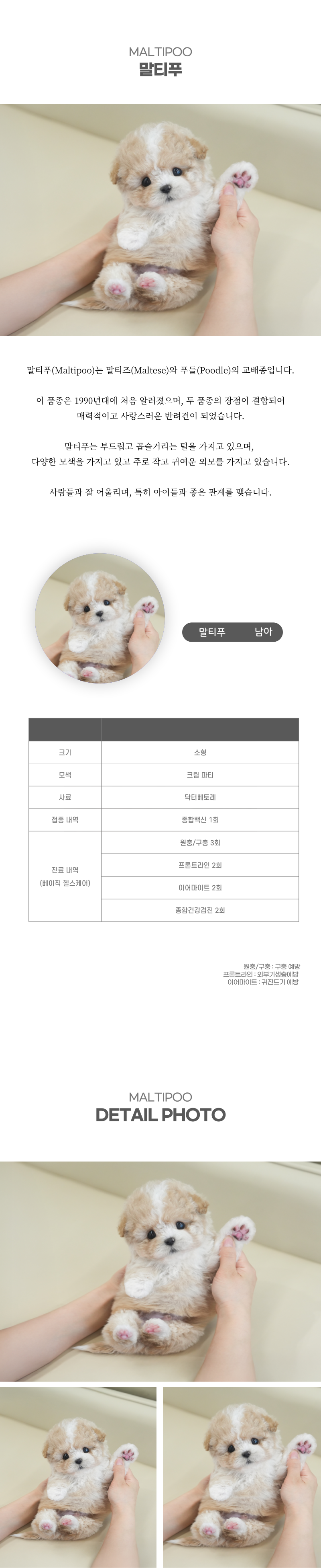 말티푸_상세이미지_2